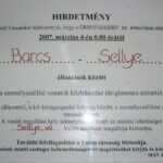 Hirdetmény Sellyén: a Barcs-Sellye buszok 2007. március 4-től már nem vonatpótlóként közlekednek