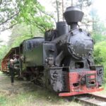 A szerelvény és a gőzös Baláta megállóhelyen.