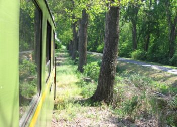 Úton Balatonfenyves és Központi főmajor közt