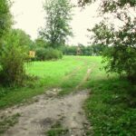 A nyomvonal a nagyatádi szoborpark határában köt ki (készítette: Csuka Barna, 2006.)