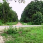 A Simongát felé vezető nyomvonal a Göröndi út néhai átjárójából nézve (készítette: Csuka Barna, 2006.)