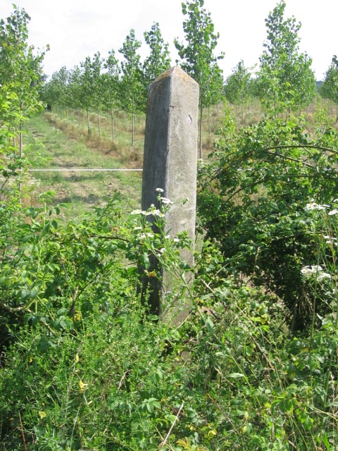 Simongát és Felsőerzsébetpuszta közti elveszett síposzlop (2007.06.13.)