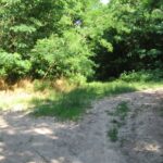 Földutak keresztezik a nyomvonalat, a vasút a fák közti sötét út mentén haladt (2007.06.13.)