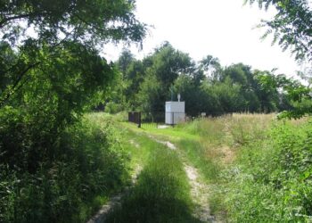 A civilizáció nyomai Nagyatád felé visszatekintve, közeledünk Lábodhoz (2007.06.13.)