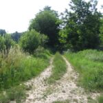 Lábod közelében, Nagyatád felé visszatekintve az elveszett nyomvonalra (2007.06.13.)