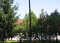 A Vasút u. óvoda felőli végében lévő egykori távíróoszlop (2007.06.13.)