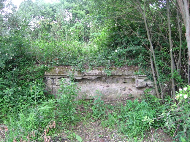Lipótfai rámpa (az egykori mrh. Kaposvár felőli oldalán) (2007.05.27.)