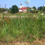 Szulok temploma a nyomvonalról