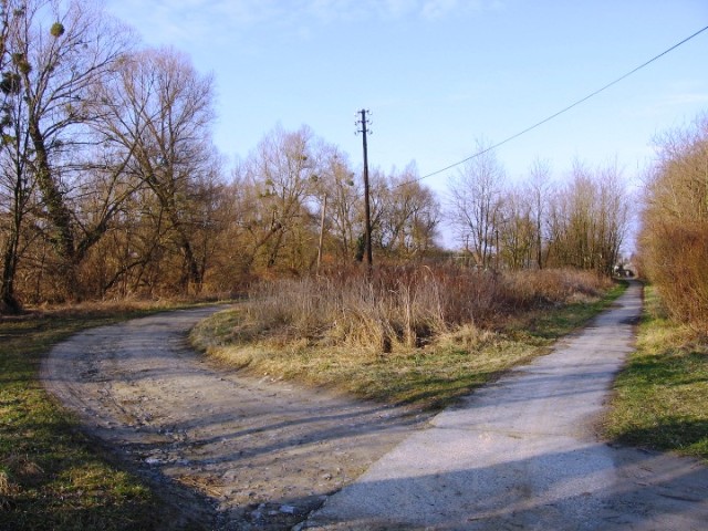 A bárdudvarnoki megállótól délre: a faluból érkező bekötőút és a nyomvonal kereszteződése (2007.02.10.)