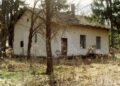 Lipótfa (1999.)