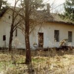 Lipótfa (1999.)