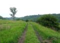 Visszatekintés Kaposvár felé (2007.06.08.)
