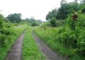 Lejtésjelző a nyomvonal mellett (2007.06.08.)
