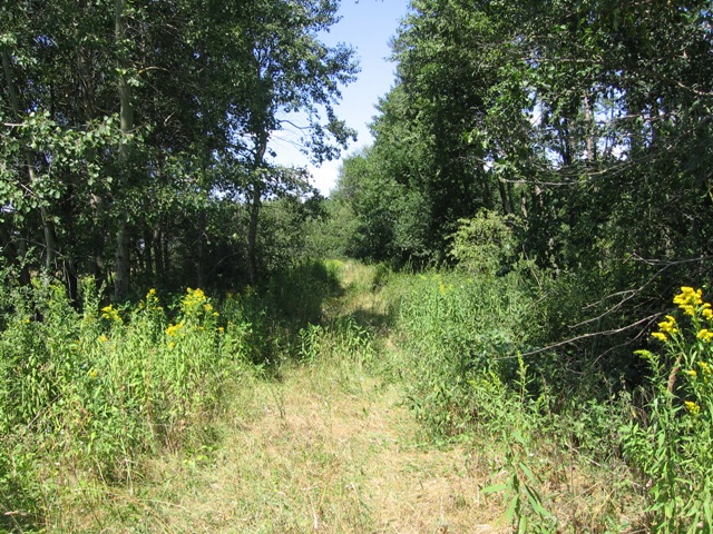 Begazosodott nyomvonal