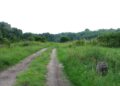 Tájkép a 13-as kilométeroszloppal (2007.06.08.)