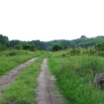 Tájkép a 13-as kilométeroszloppal (2007.06.08.)