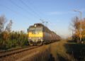 Gyékényes: V43 1068 érkezik kaposvári személyvonatával (2007.09.30.)