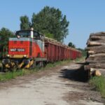 Fát szállító tehervonat Drávafokon (készítette: Balázs Zsolt, 2007. nyár)