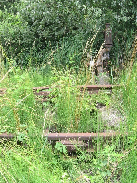 Balatonszentgyörgy - Sármellék 2008