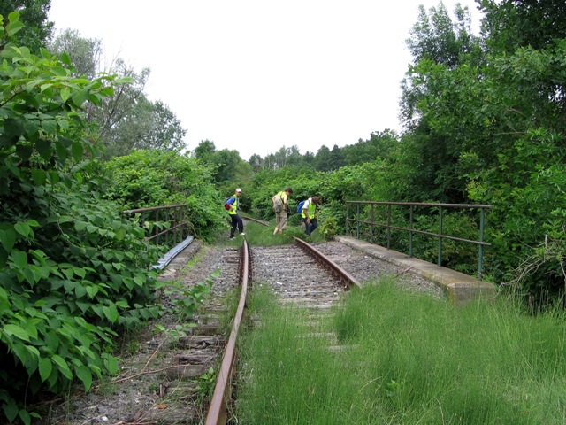 Balatonszentgyörgy - Sármellék 2008