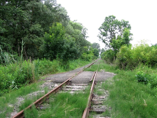 (Vissza, Balatonszentgyörgy felé tekintve)