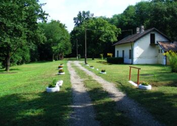 A nyomvonal Terecsenyben (Szigetvár felé visszatekintve)