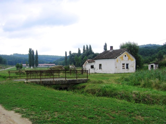 Almamellék alsó (2008.07.26.)