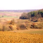 A bőszénfai őrház és mrh. között kanyargó magas vasúti töltés. Háttérben a gálosfai út (fotó: László Zsolt)
