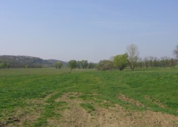 A 12-es őrháztól Szigetvár felé visszatekintve: a vasút a réten haladt