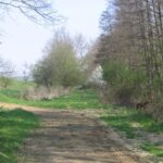 A mezőgazdasági célokra használt földút lekanyarodik a nyomvonalról