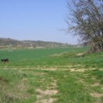 Cserénfa: az egykor a vasúti megállóhoz vezető út keresztez minket