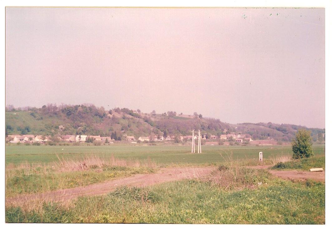 Cserénfa