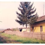 Bőszénfa