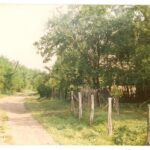 Korcsánypuszta