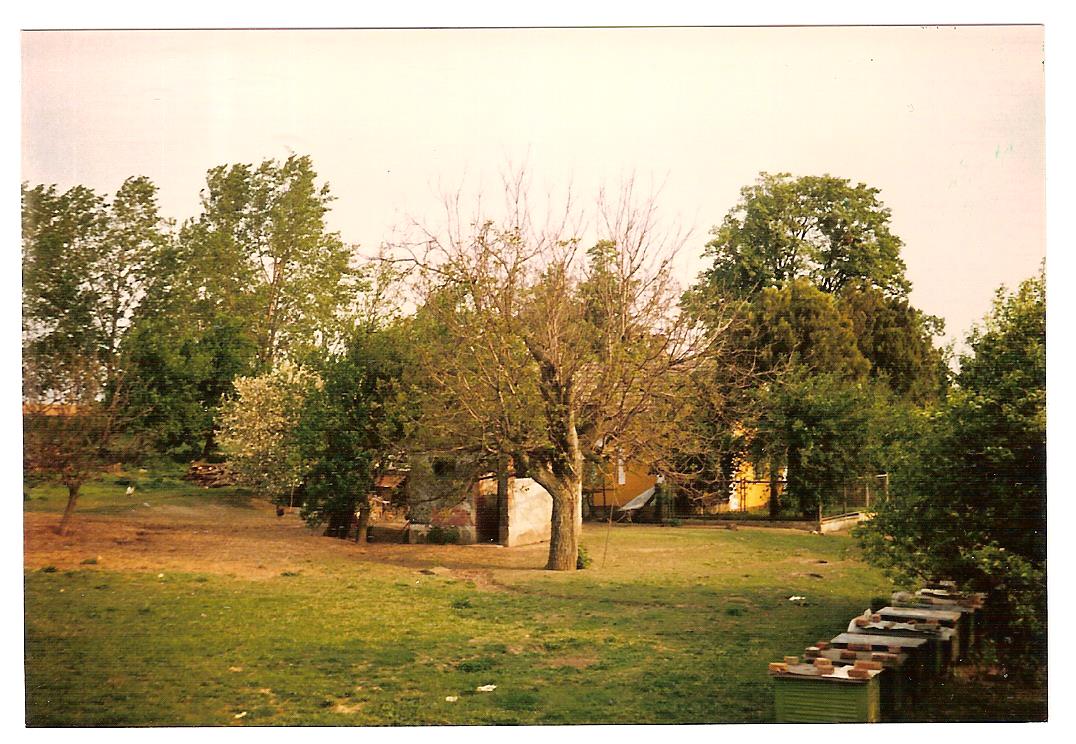 Csertő