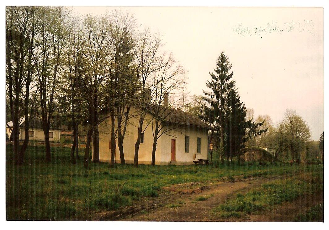 Lipótfa