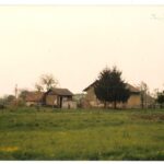Hencse-Hedrehely
