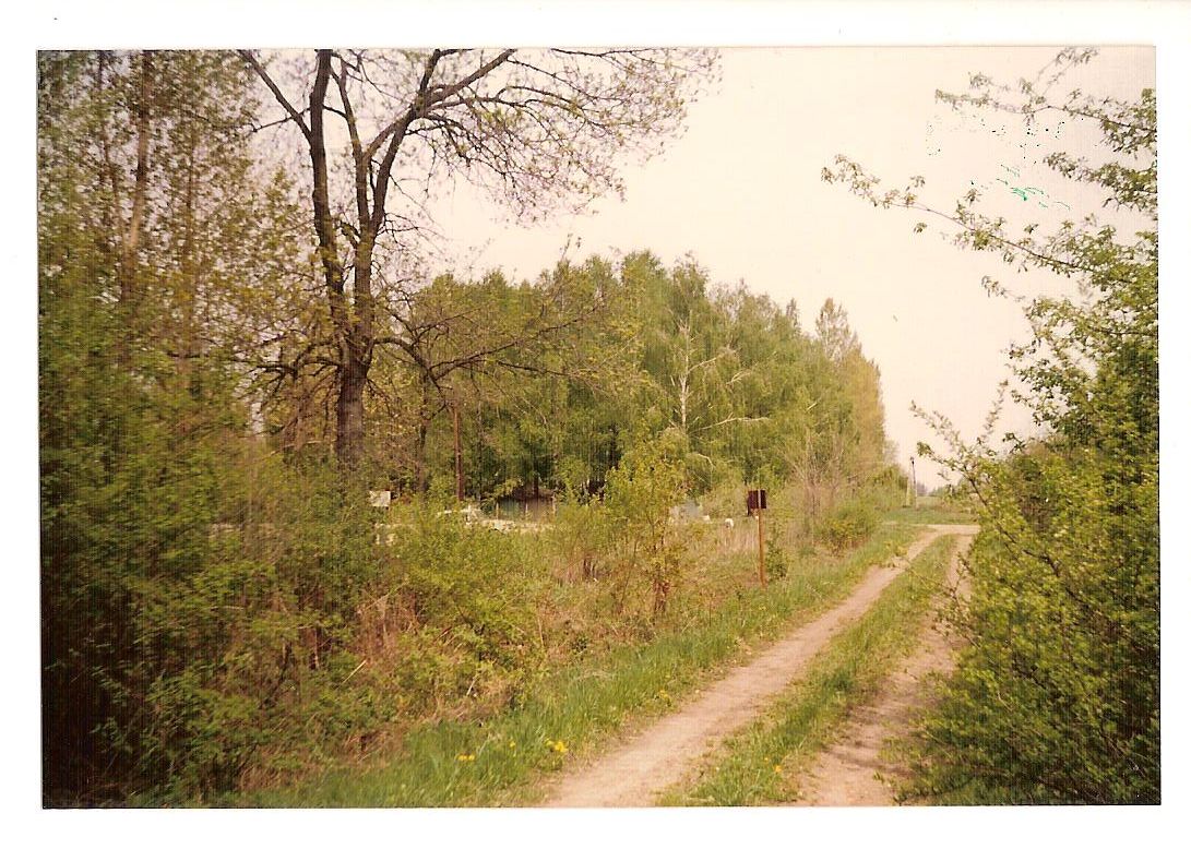 Csokonyavisonta felső