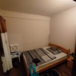 Zselic Gyöngye Lipótfa