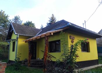 Zselic Gyöngye Lipótfa